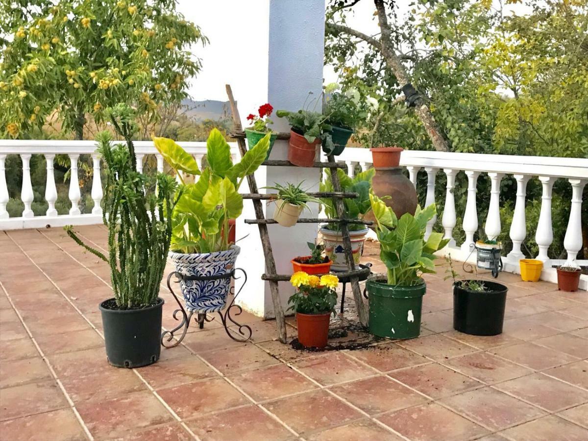 Casa Rural En Constantina Exteriör bild